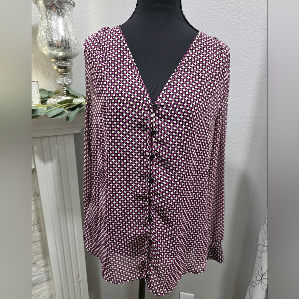 Pleione Sheer Button Down Blouse